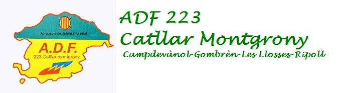 ADF 223 "Catllar-Montgrony"