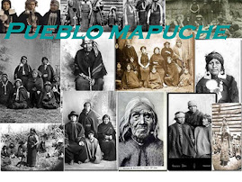 MAPUCHE: Las rucas mapuches y sus avances a tráves del tiempo