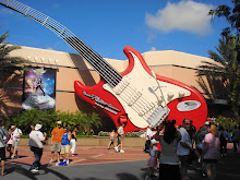 Rock N Roller Coaster