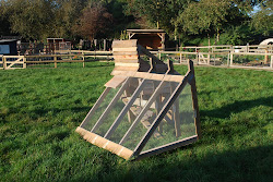 coop ceremony opening chicken