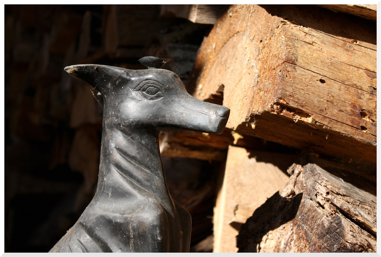 Rat des villes Tours Hôtel Mame