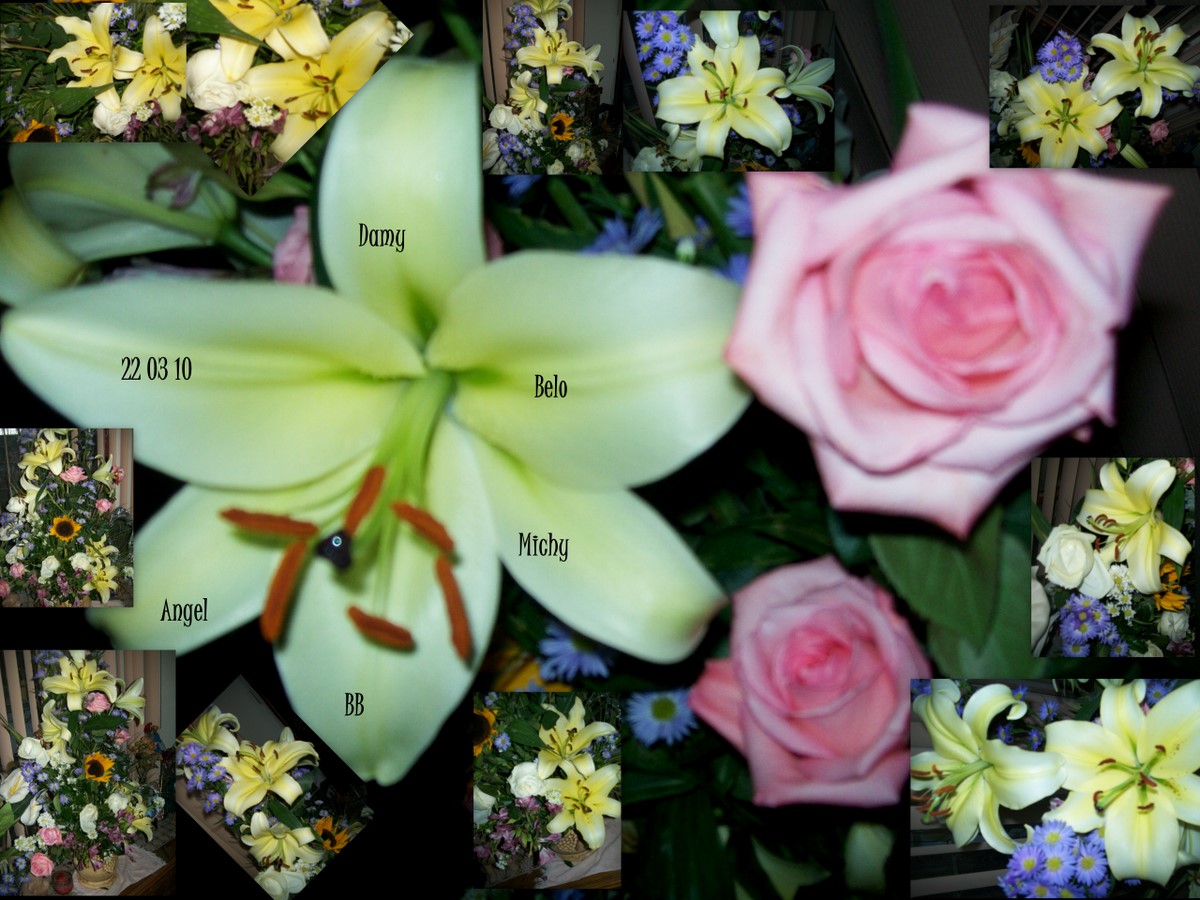 Flor de Mexico es mi nombre.: BELLAS FLORES