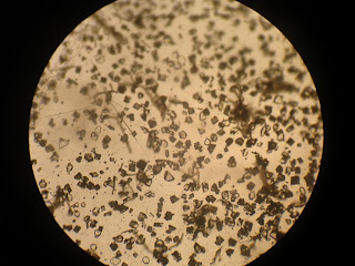 TuttyFrUiTyMixture.blogspot.com: arsenic crystals under microscope ...