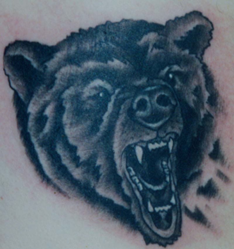 Bear Head Tattoos