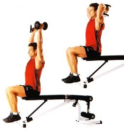 Overhead Triceps Extension