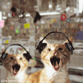 gato_metal.gif