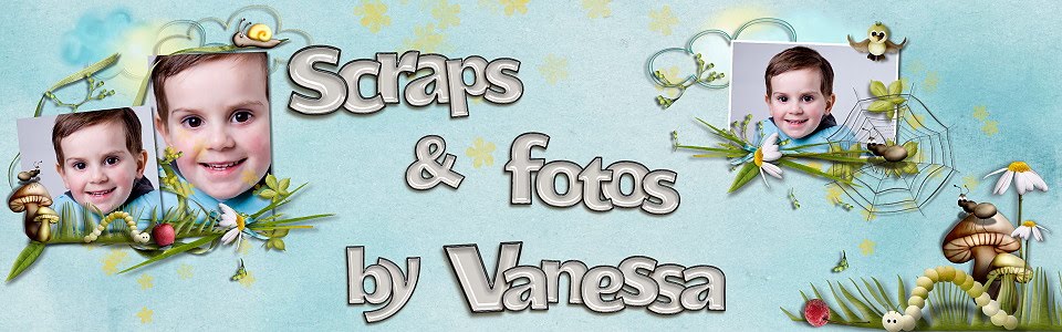 Vanessas Blog