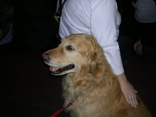 Getting a pet from a new friend