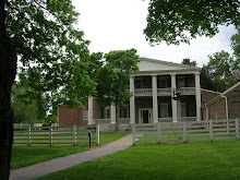 More of Andy's place