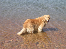 Look, Mom, I'm wading!