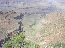 Trail to the bottom of the canyon