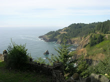 Great Oregon Coast Photo