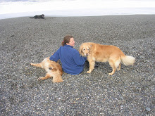 Another Goldie lover!