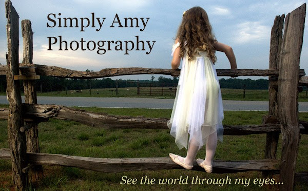 Simply Amy Photography