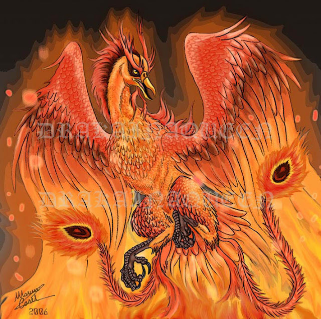 18 Phoenix Artworks : The Flaming Bird | Design Inspiration | PSD Collector