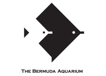 bermuda aquarium