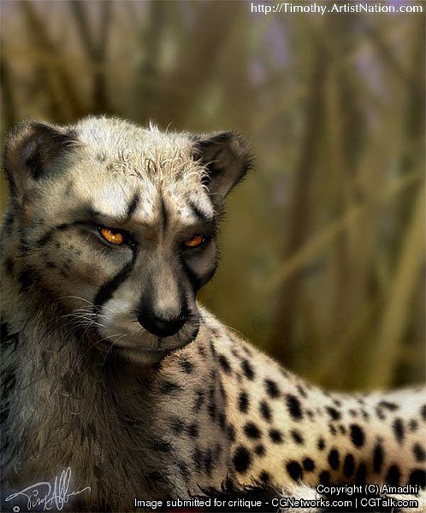 Cheetah 3d