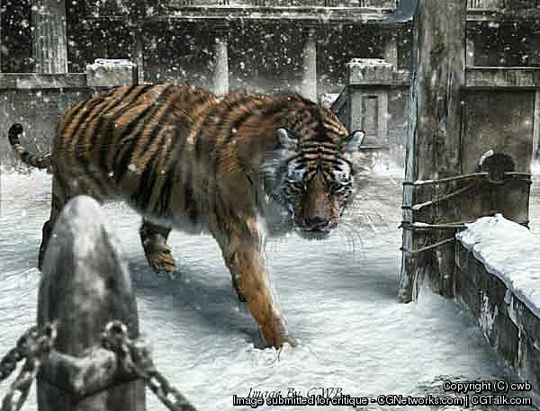 tiger 3d
