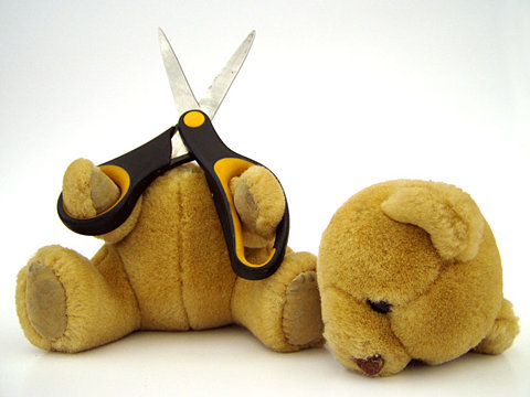 Suicide Teddy