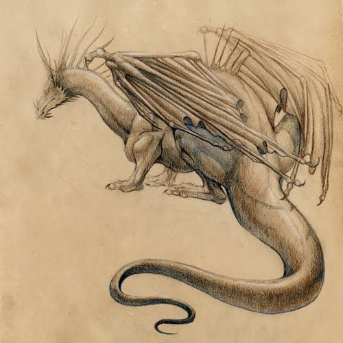 Conte dragon art drawing