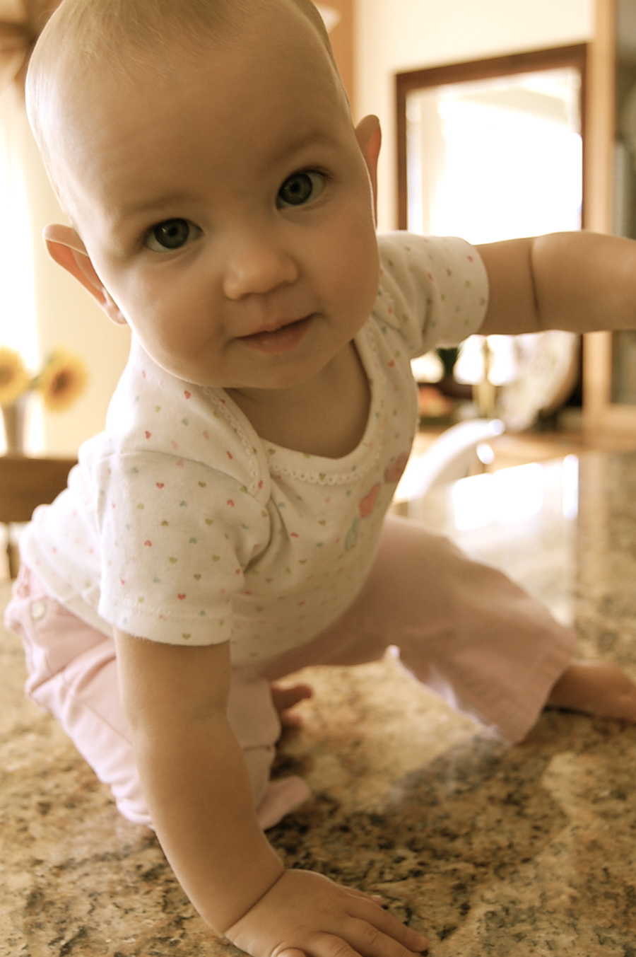 [DSC_0015.JPG]