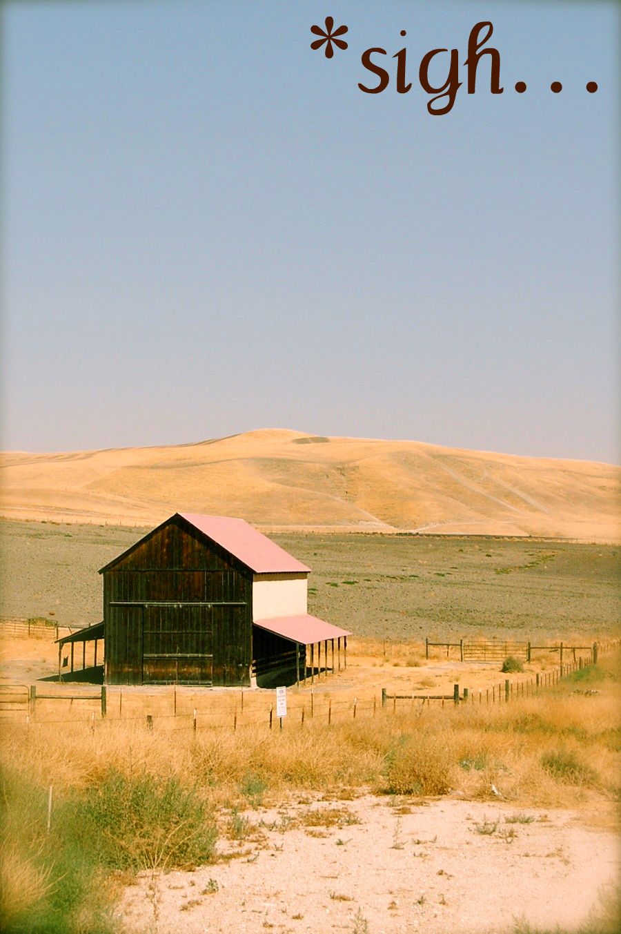 [DSC_0079.jpg]
