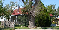 Our house on Maple Street in Clayton, NM