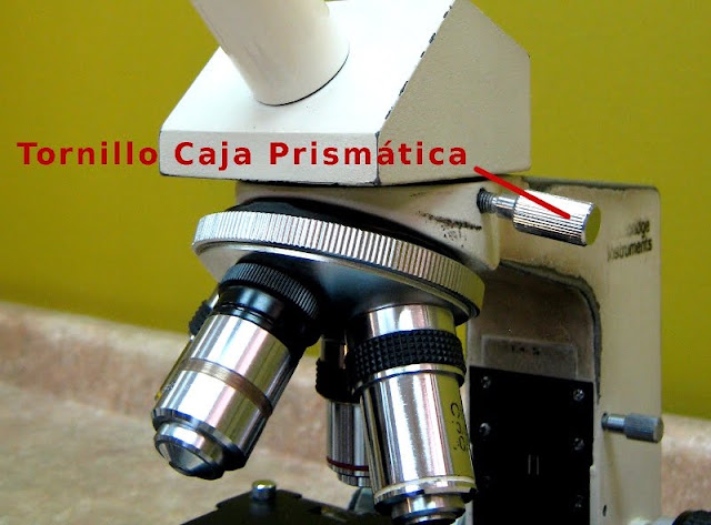 el Blog del Profe de Biolo: Método de trabajo del Microscopio en el