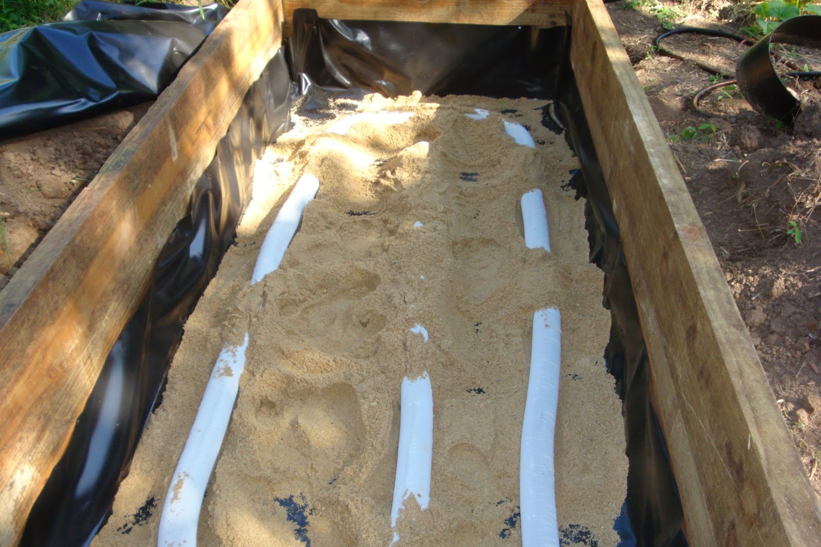 I'm crazy about worms The Wicking bed