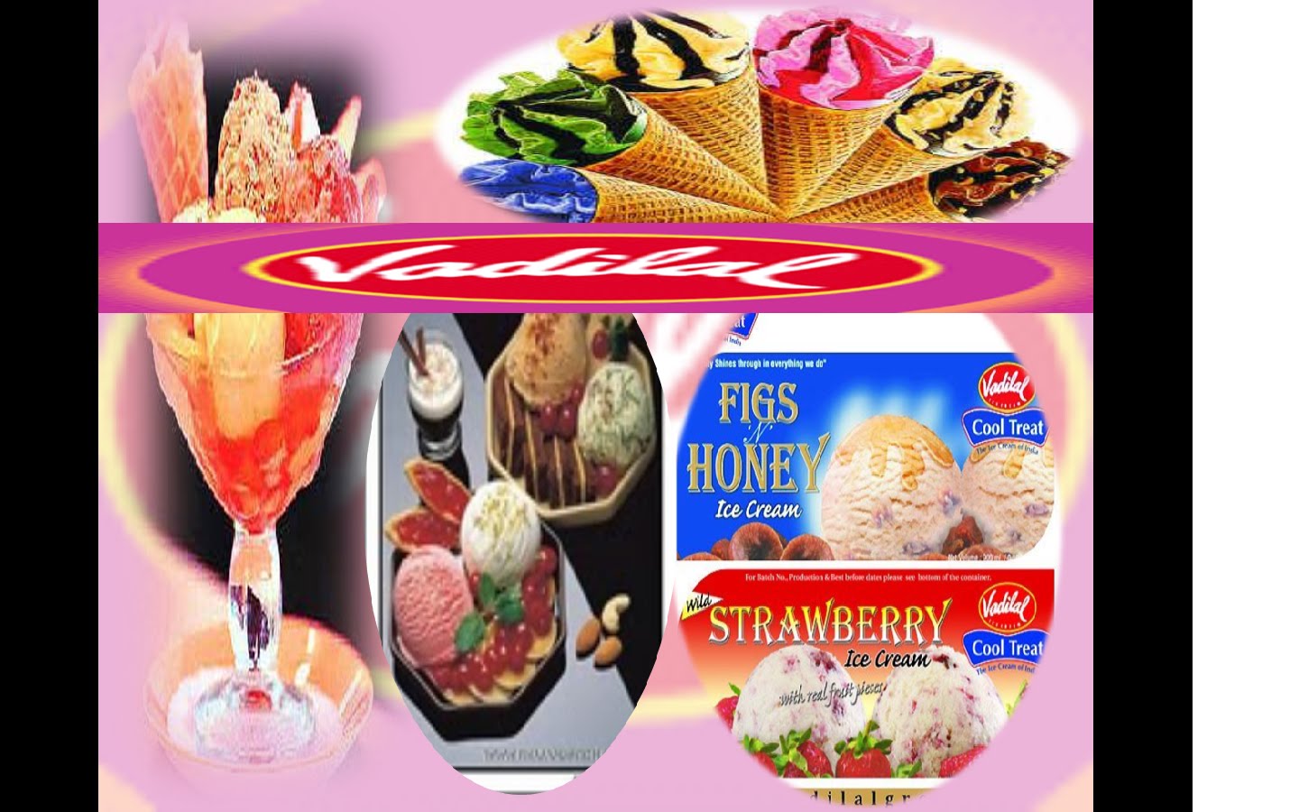 Variation of IceCream Vadilal icecream