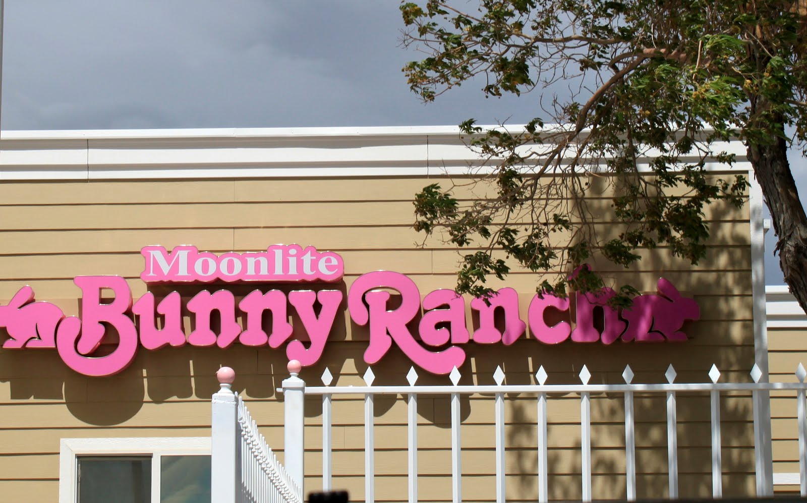 Bunny Rabch Reno It's not about the destination...: From Salt Lake City to Fallon, to ...