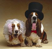 Um lindo casal...