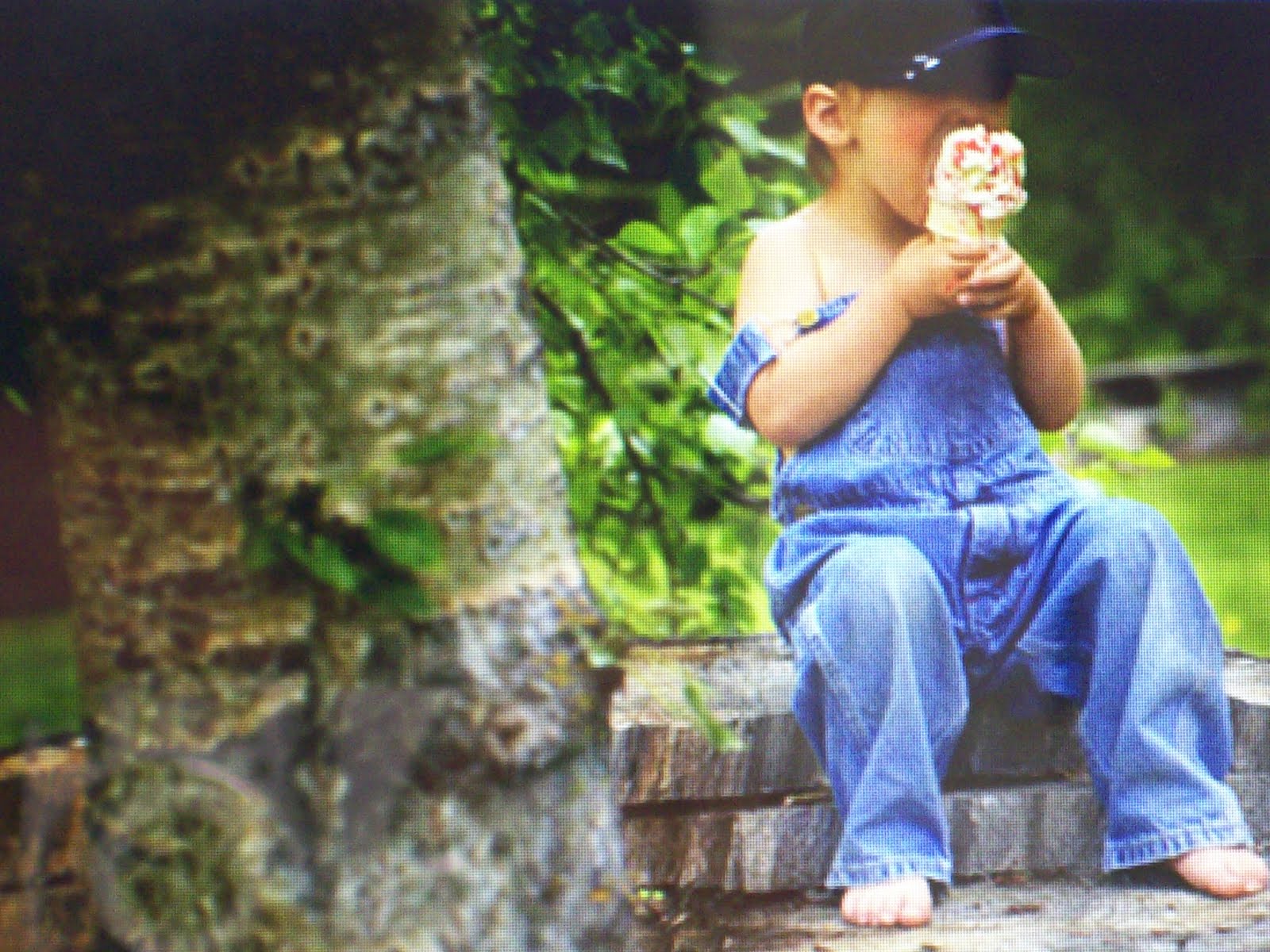 How to Make Homemade Ice Cream in a Bag The Honorable Mention