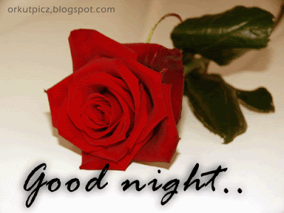 PICTURE GRAPHICS: picture greeting - good night - rose