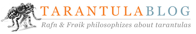 TarantulaBlog