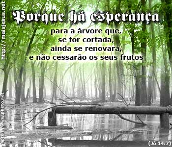 [ha_esperanca_arvore.jpeg]
