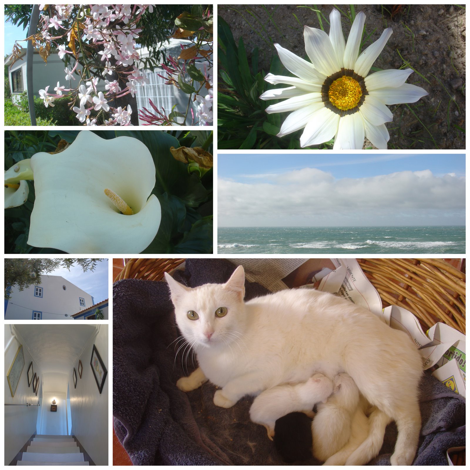 [Meco+Março+20091.jpg]