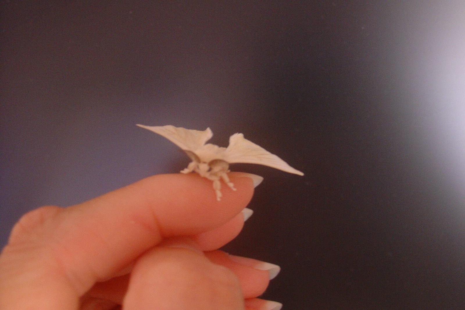 [Junho+2006+117.jpg]