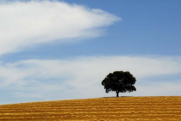 [alentejo.jpg]