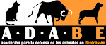 Asociación para la defensa de los animales en Benicasim