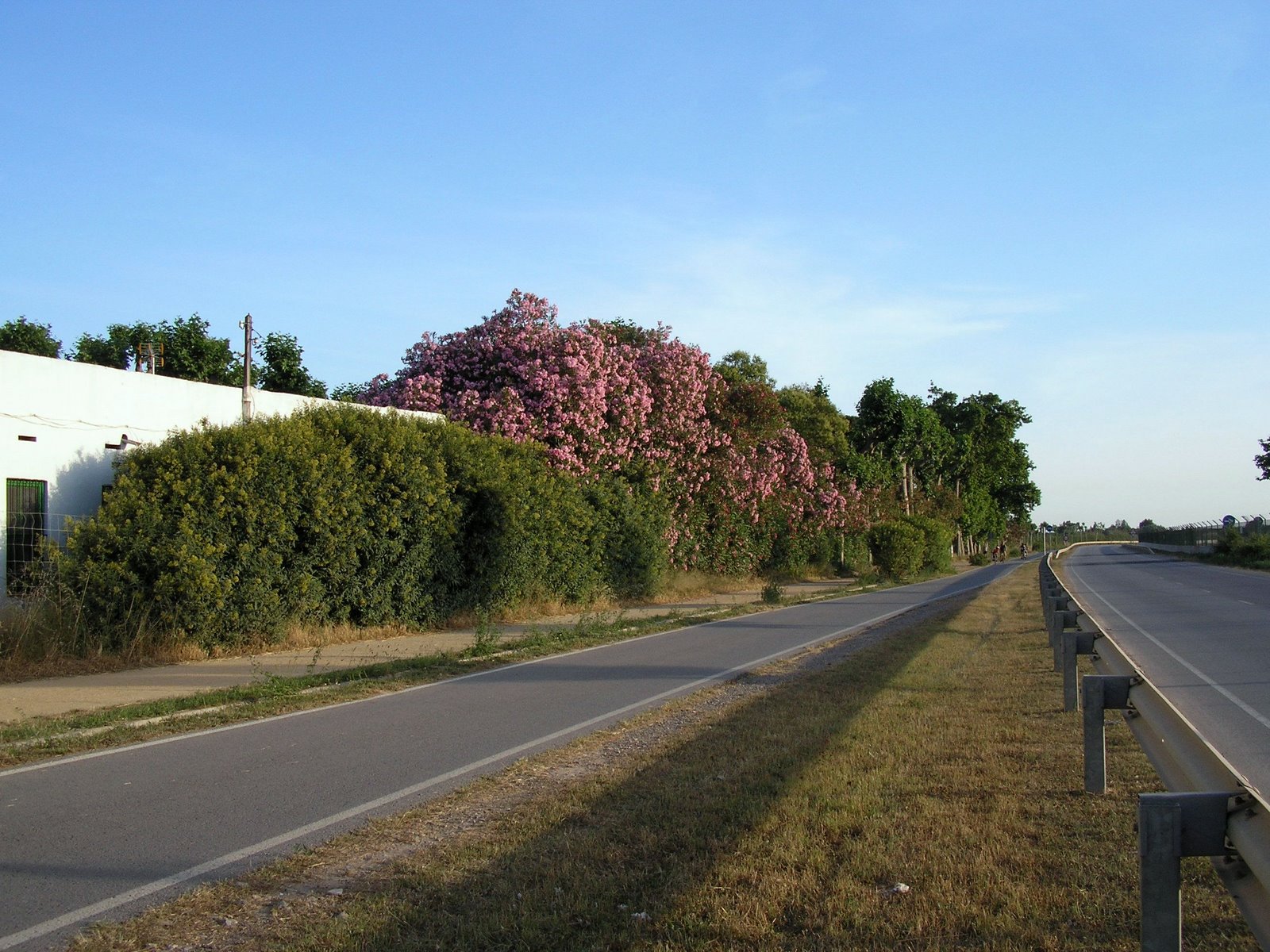 [P1010633.JPG]