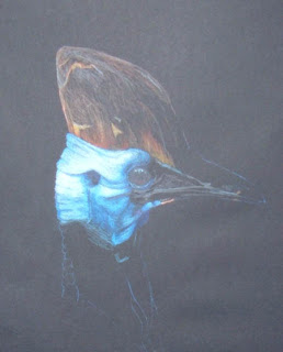 Cassowary WIP by Jennifer Phillip