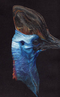 Cassowary WIP by Jennifer Phillip