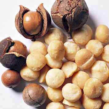 Macadamian+Nuts.jpg