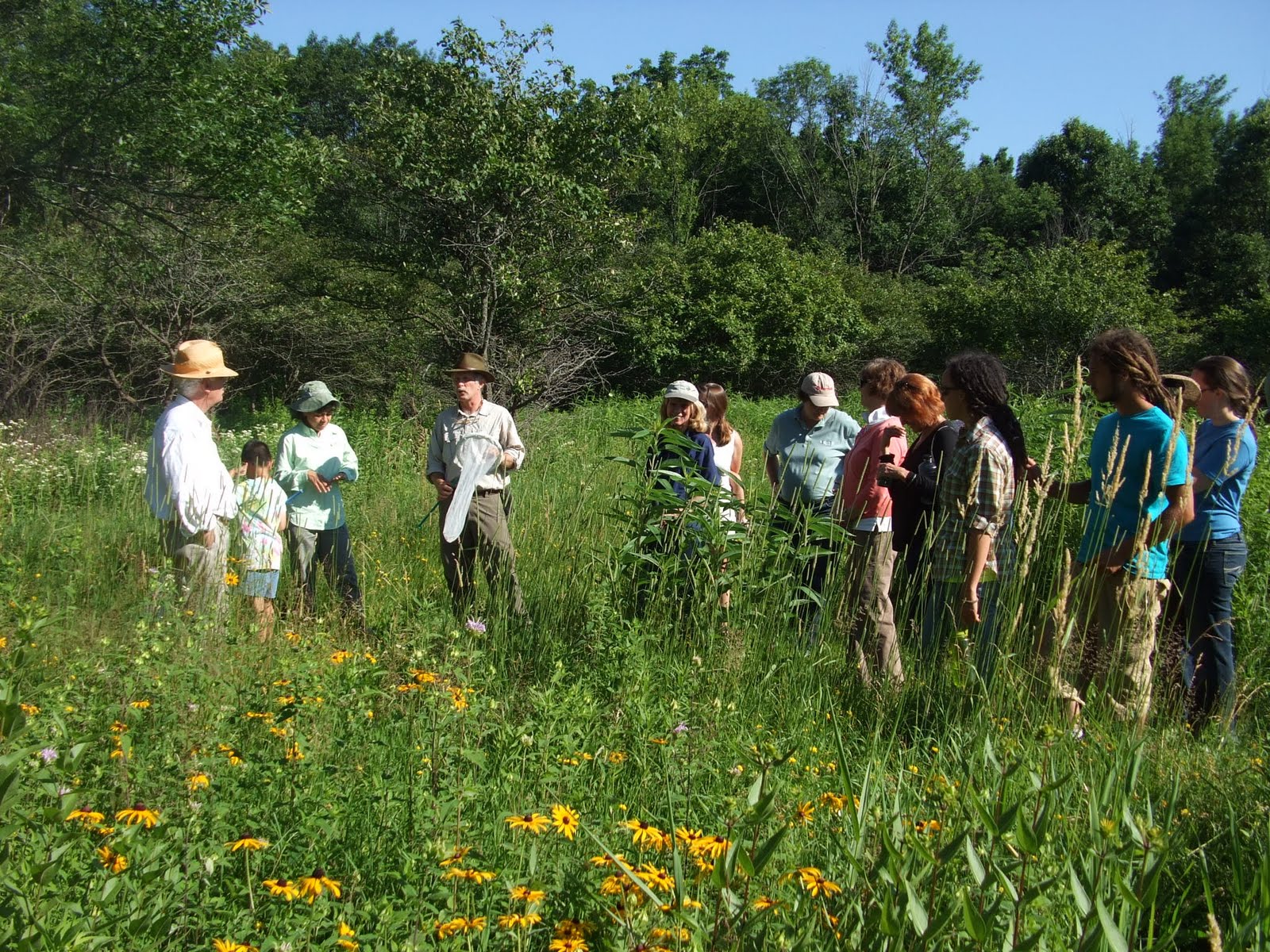 fermilab-natural-areas-butterfly-walk-report