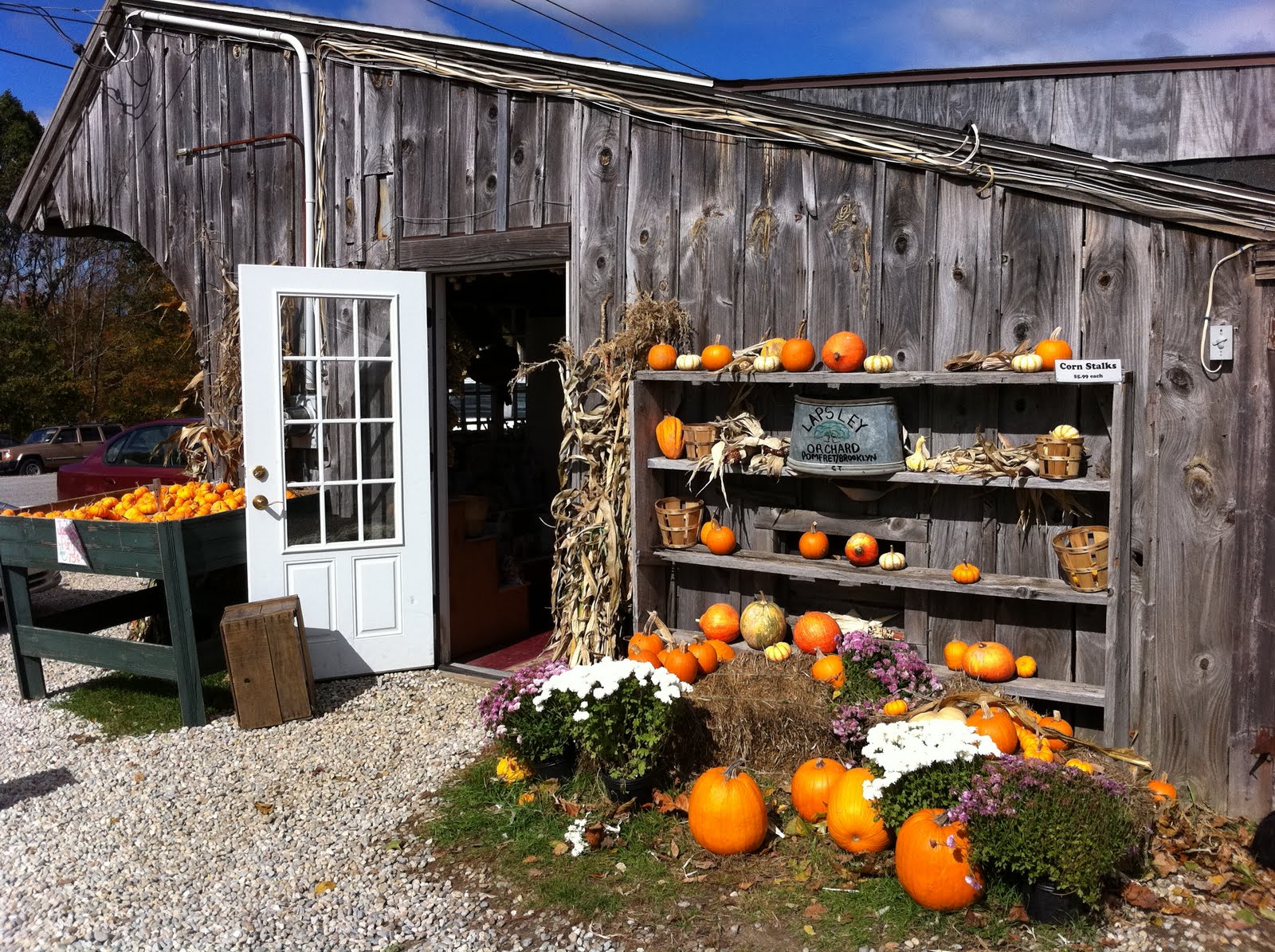 Jungle Jim: Autumn Blast Continues - Connecticut Style!