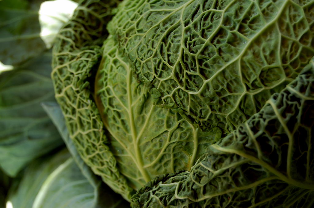 StephanieKimura Barbour's Produce vegetable and fruit stand in Jensen