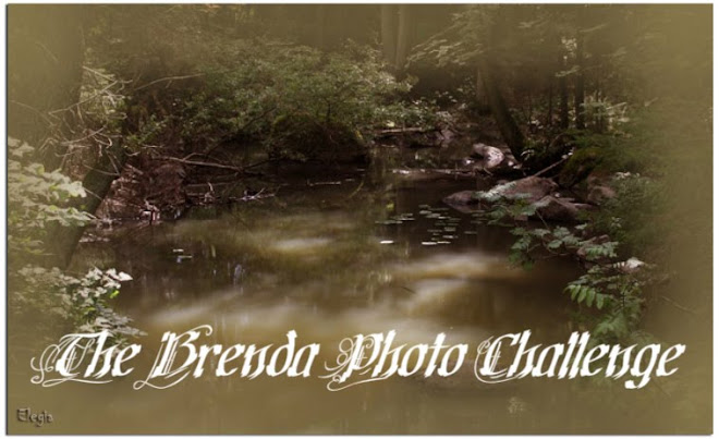 The Brenda Photo Challenge Blog