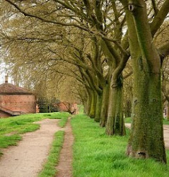 Ferrara