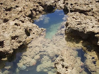 corais na quarta praia